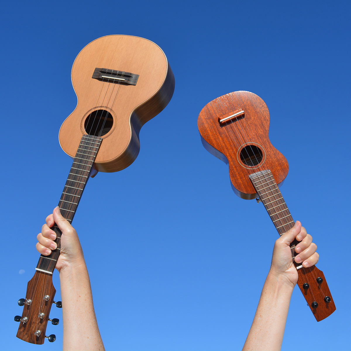 Two ukuleles held aloft