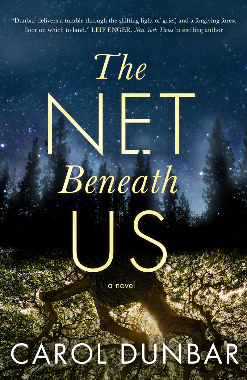 The Net Beneath Us book cover