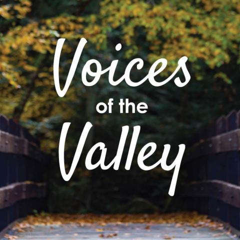 Voices of the Valley Book Cover