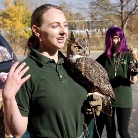 Woman holding falcon