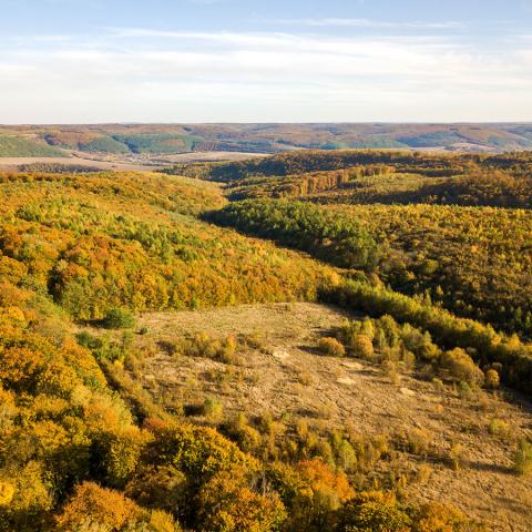 Wisconsin land